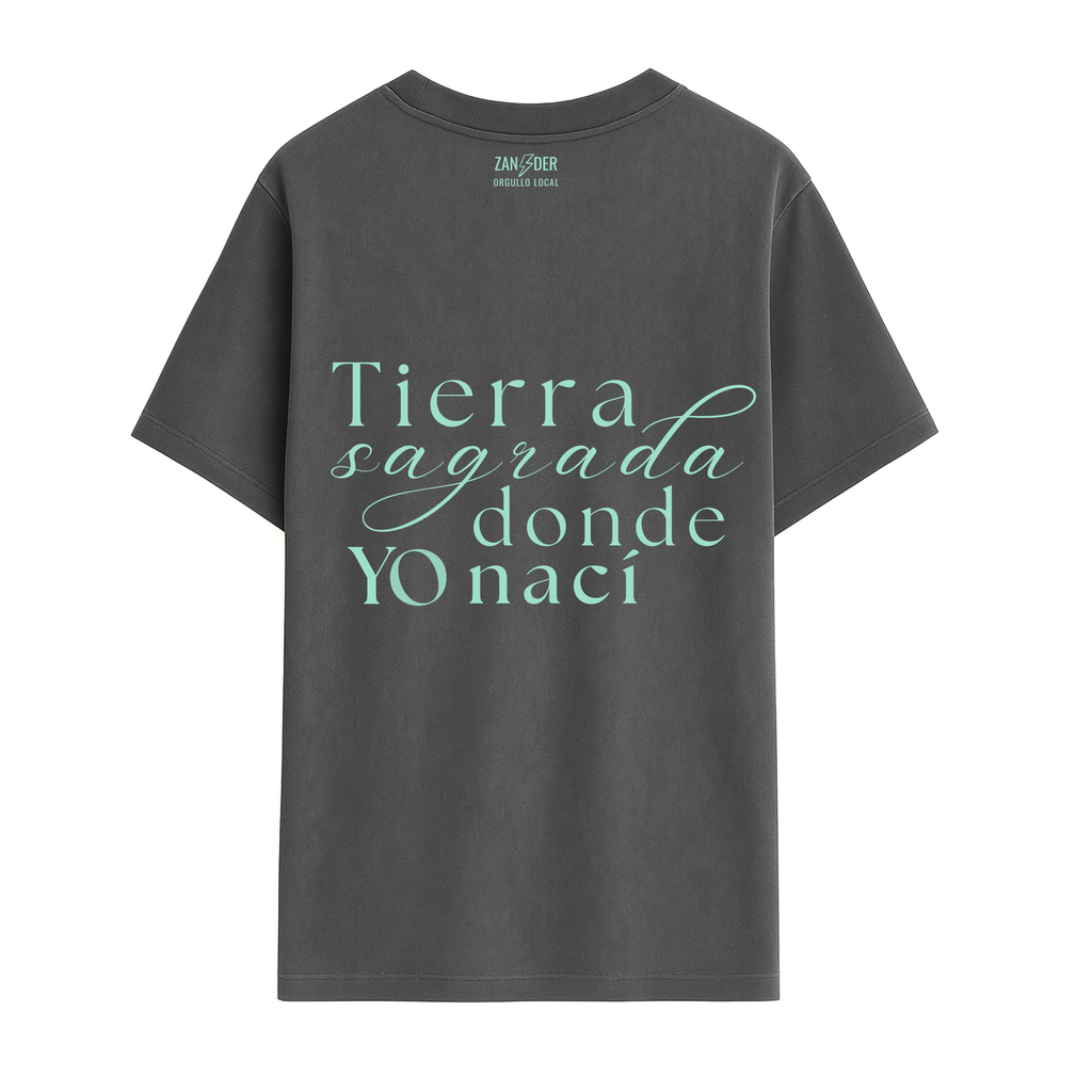 Vista trasera de la camiseta urbana para adulto colección 947 Burgos Calling en color gris antracita de la marca Zander.