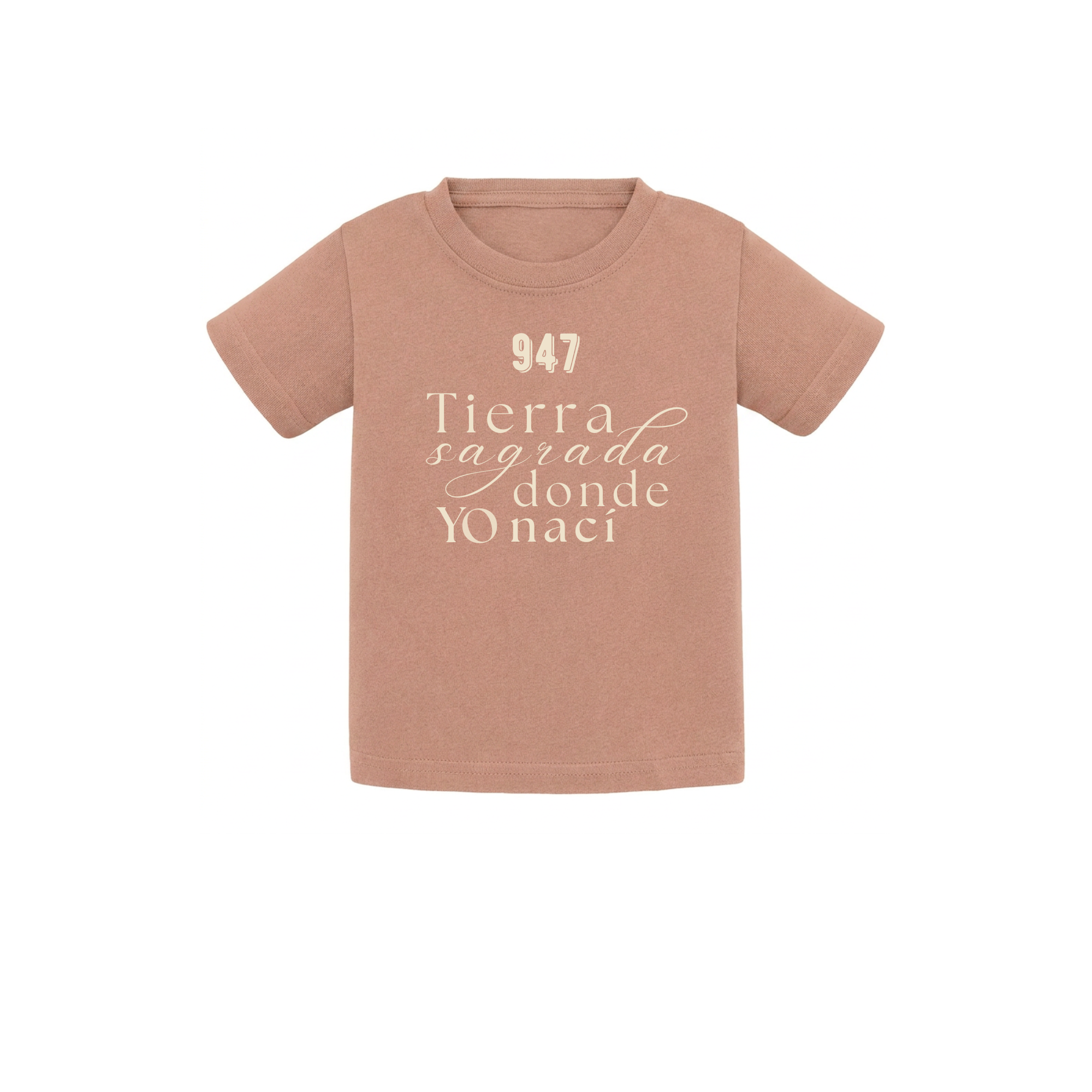 Camiseta de bebé para regalo original en Burgos (Castilla y León) color nuez con la frase Tierra sagrada donde yo nací de la marca Zander.
