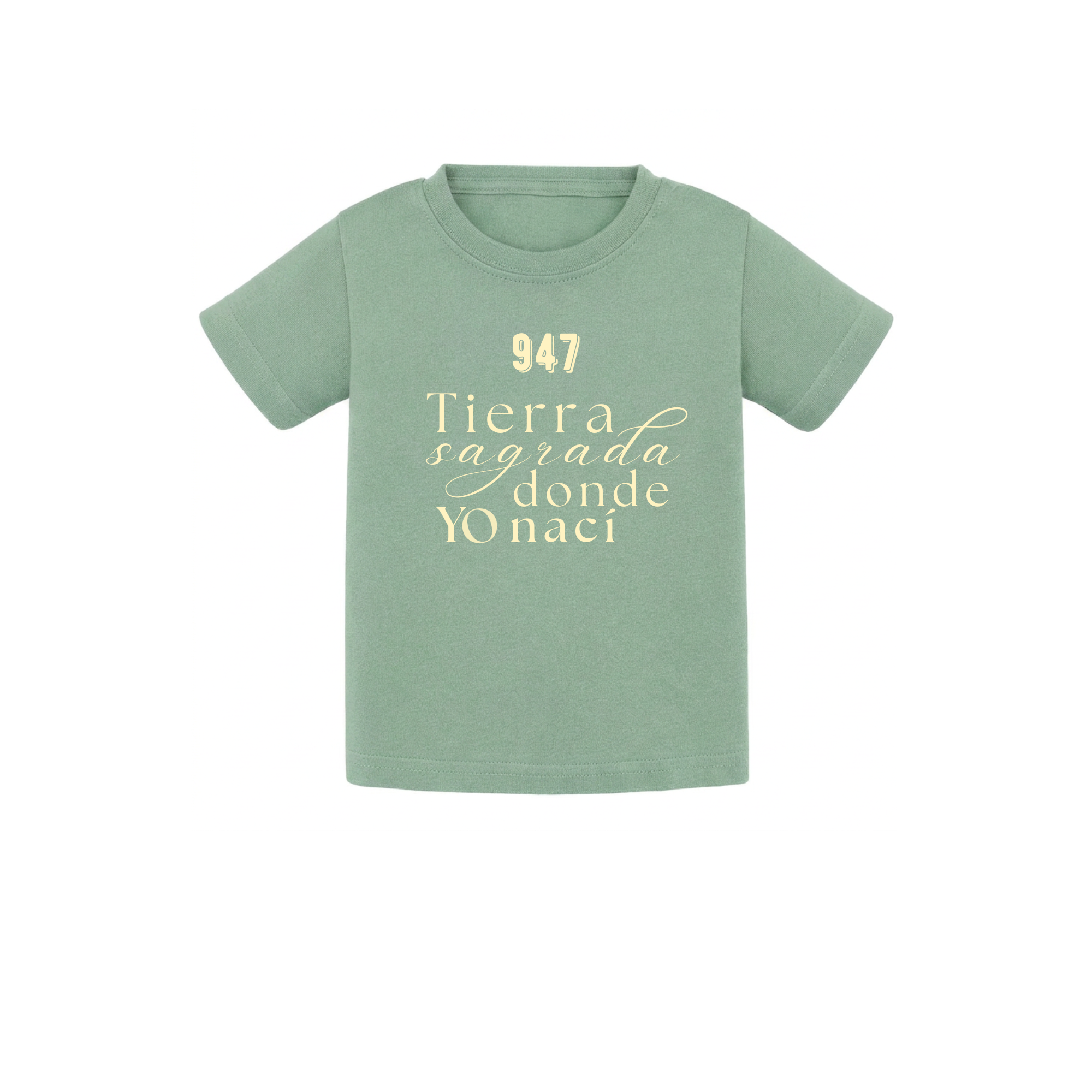 Camiseta de bebé para regalo original en Burgos (Castilla y León) color verde menta con la frase tierra sagrada donde yo nací de la marca Zander.