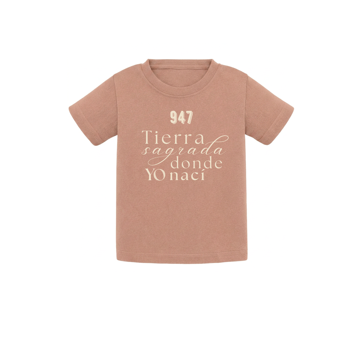 Camiseta de bebé para regalo original en Burgos (Castilla y León) color nuez con la frase Tierra sagrada donde yo nací de la marca Zander.