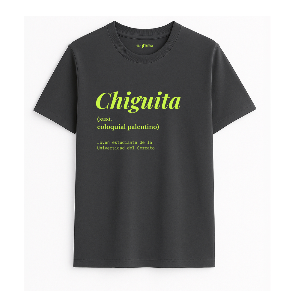 Camiseta de adulto estilo streetwear en Palencia (Castilla y León) color gris antracita con diseño urbano de diccionario Chiguita en color verde lima de Zander.
