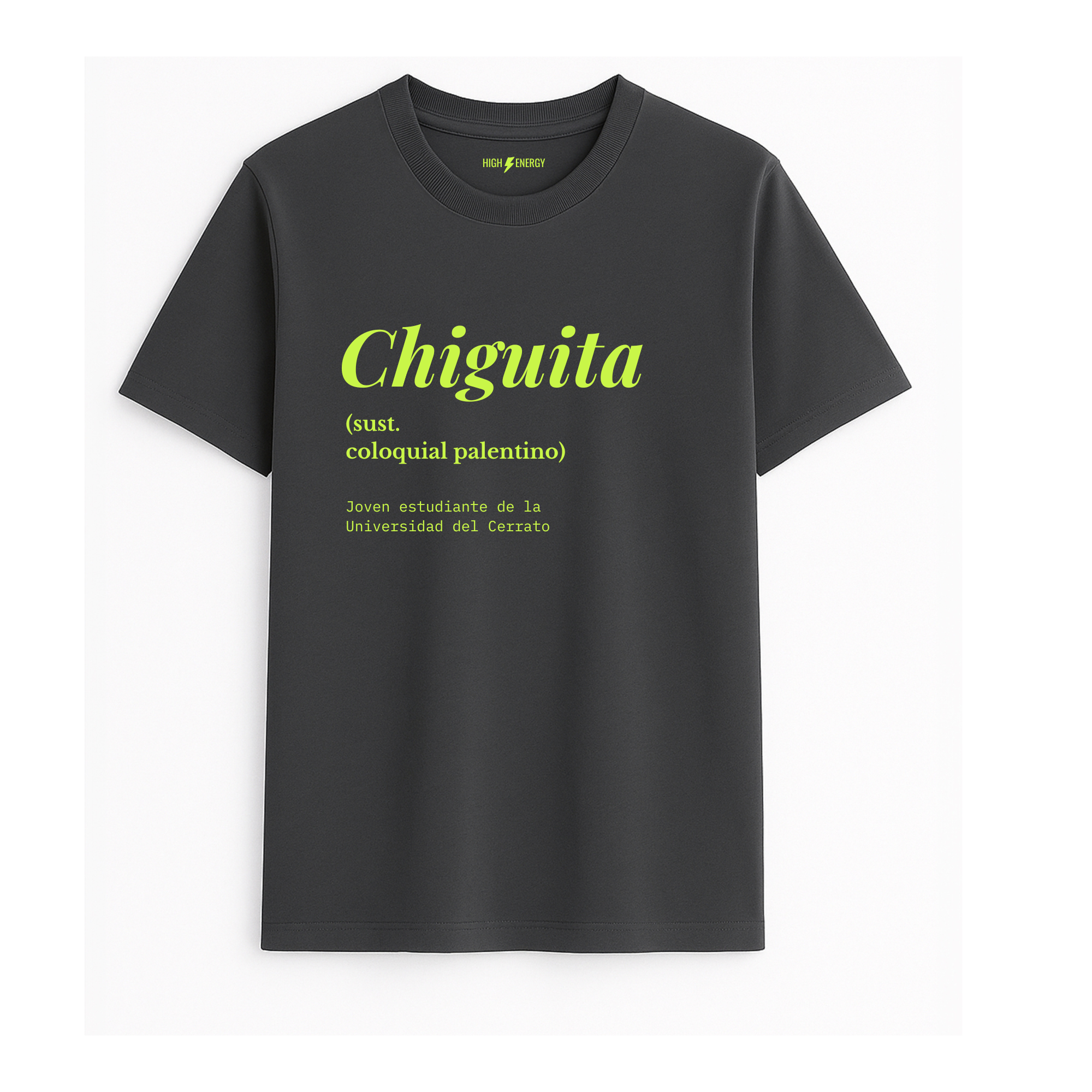 Camiseta de adulto estilo streetwear en Palencia (Castilla y León) color gris antracita con diseño urbano de diccionario Chiguita en color verde lima de Zander.