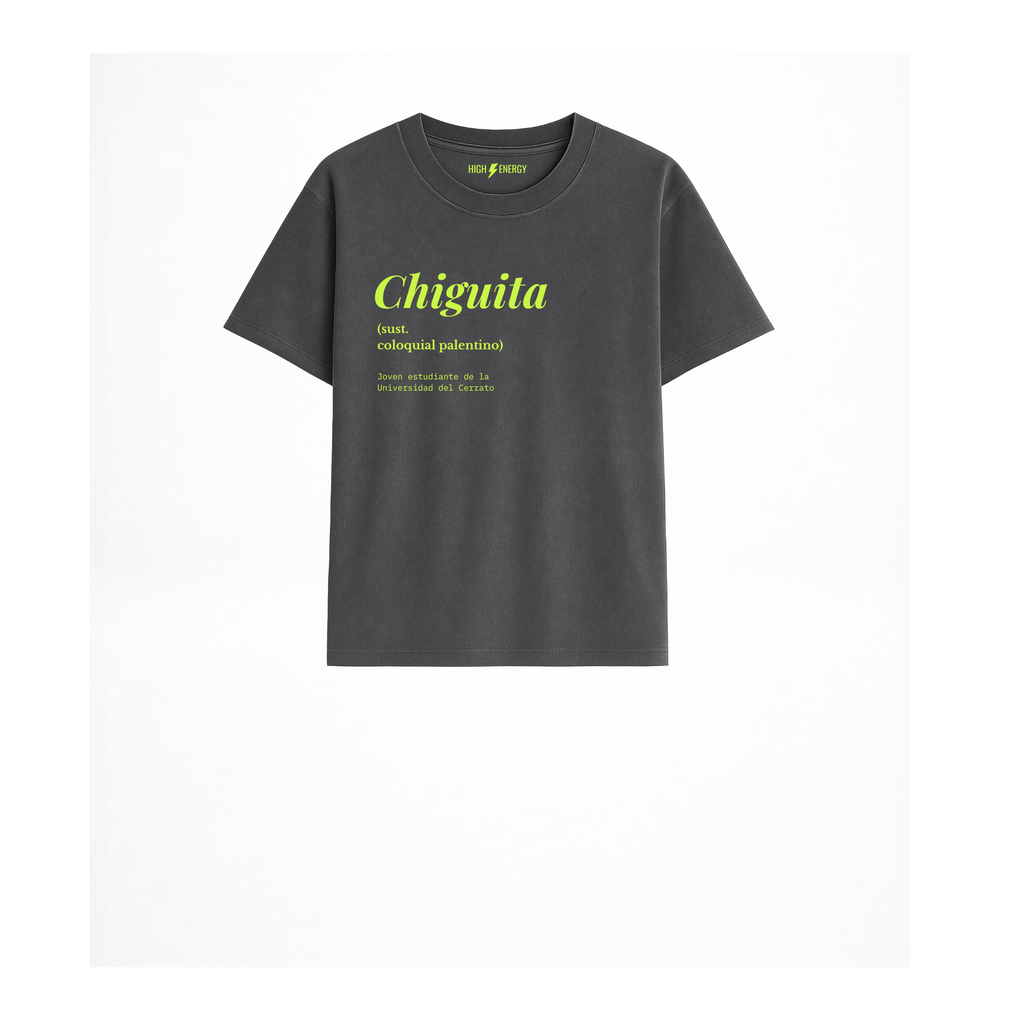 Camiseta para niños en Palencia (Castilla y León) para regalo color gris antracita con diseño urbano de diccionario Chiguita de Zander.