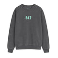 Sudadera de adulto estilo streetwear en Burgos (Castilla y León) color gris antracita con diseño urbano de 947 en verde menta de  la marca Zander.